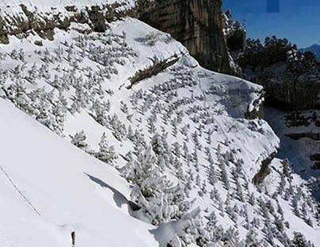 morning picdump 50 pics 13.html - 50 HD Photos | Premium Gallery 2016