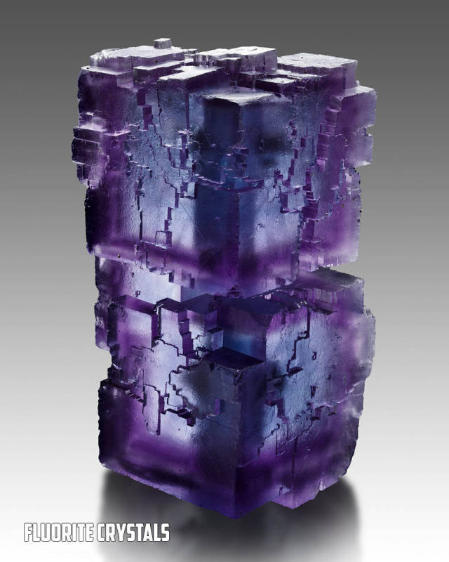 morning picdump 50 pics 13.html - 50 HD Photos | Premium Gallery 2016