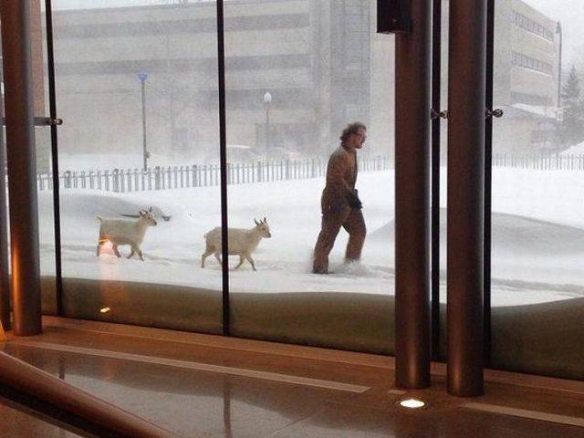 Daily Picdump