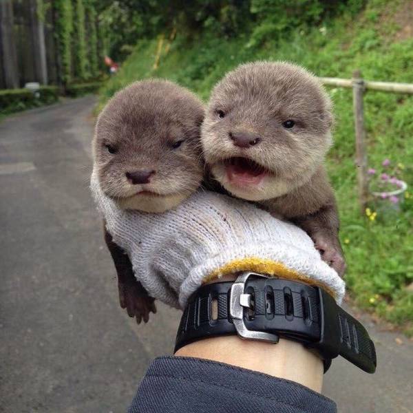 Daily Picdump