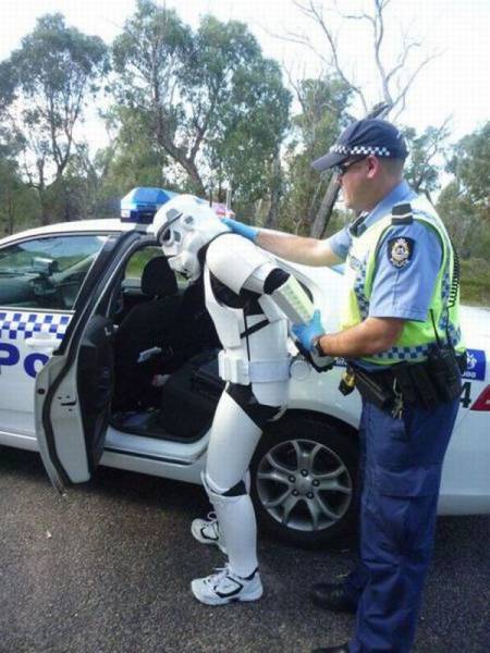 Daily Picdump