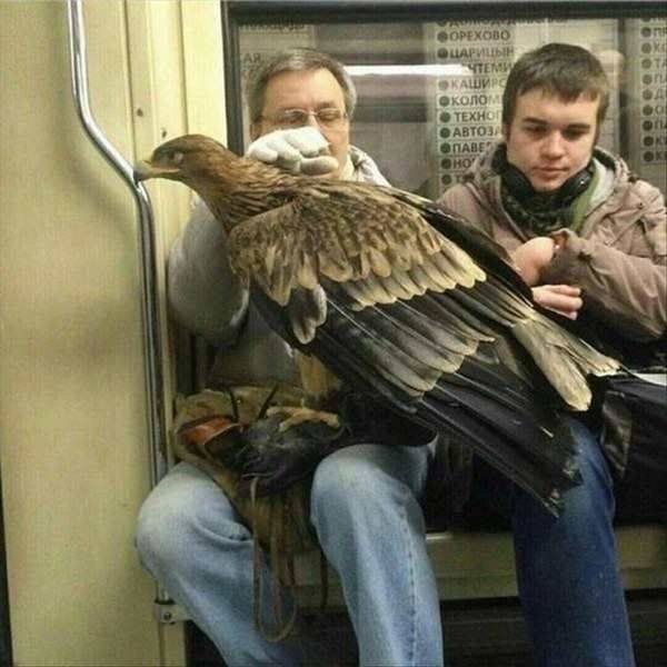 daily picdump 94 pics 36.html - 94 HD Photos | Premium Gallery 2016