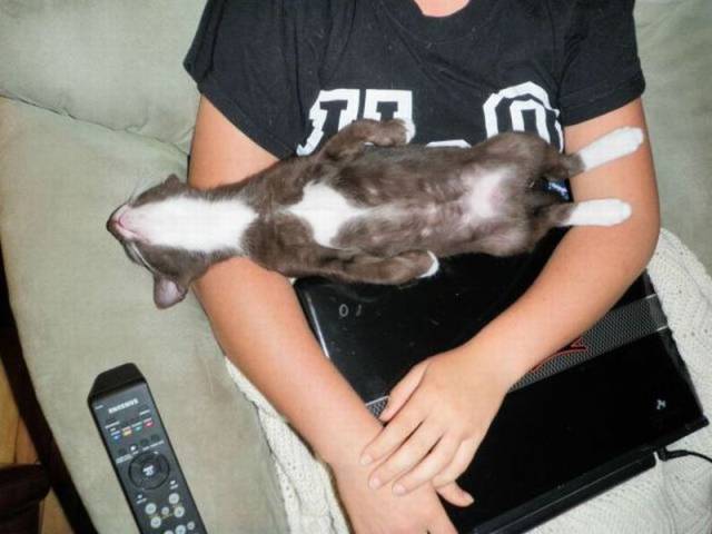 daily picdump 94 pics 36.html - 94 HD Photos | Premium Gallery 2016