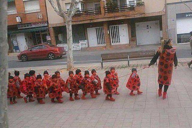 daily picdump 94 pics 36.html - 94 HD Photos | Premium Gallery 2016