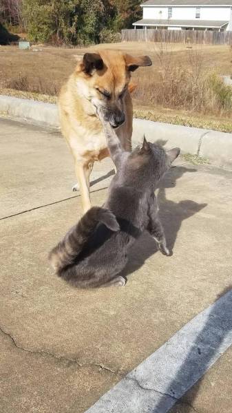 daily picdump 94 pics 36.html - 94 HD Photos | Premium Gallery 2016