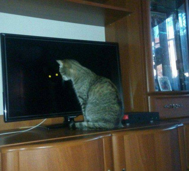 daily picdump 94 pics 36.html - 94 HD Photos | Premium Gallery 2016