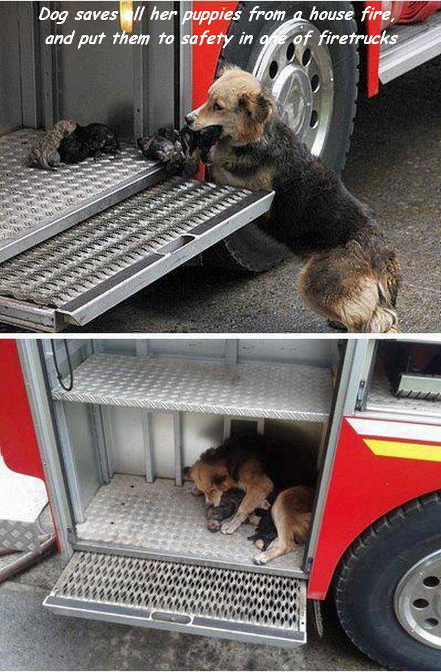 daily picdump 94 pics 36.html - 94 HD Photos | Premium Gallery 2016