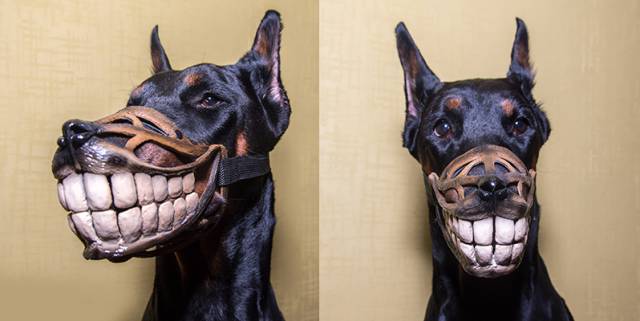 morning picdump 54 pics 12.html - 54 HD Photos | Premium Gallery 2016