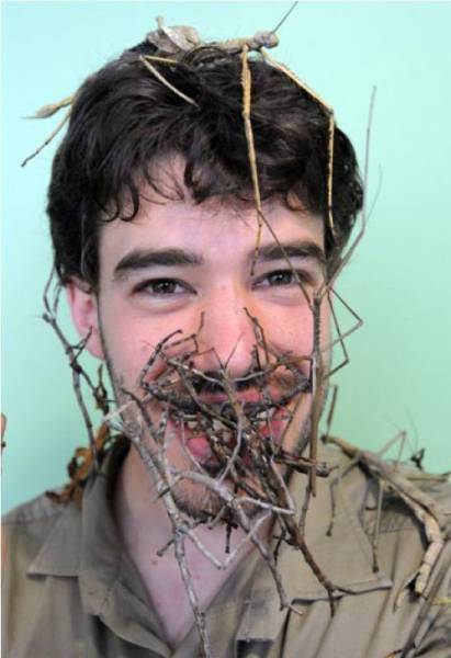 daily picdump 99 pics 28.html - 99 HD Photos | Premium Gallery 2016