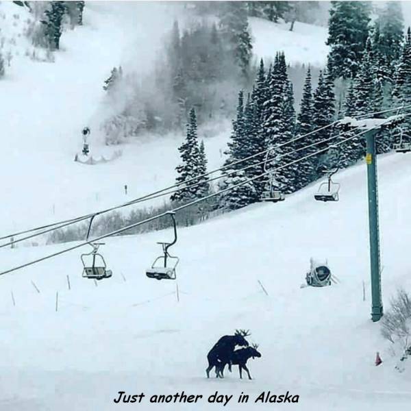 daily picdump 94 pics 18.html - 94 HD Photos | Premium Gallery 2016