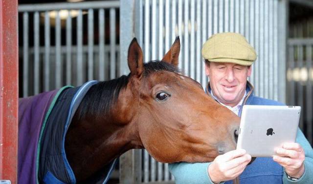 daily picdump 94 pics 18.html - 94 HD Photos | Premium Gallery 2016