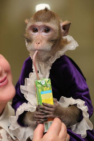 Daily Picdump [WEEKEND EDITION]