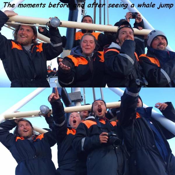 Daily Picdump [WEEKEND EDITION]