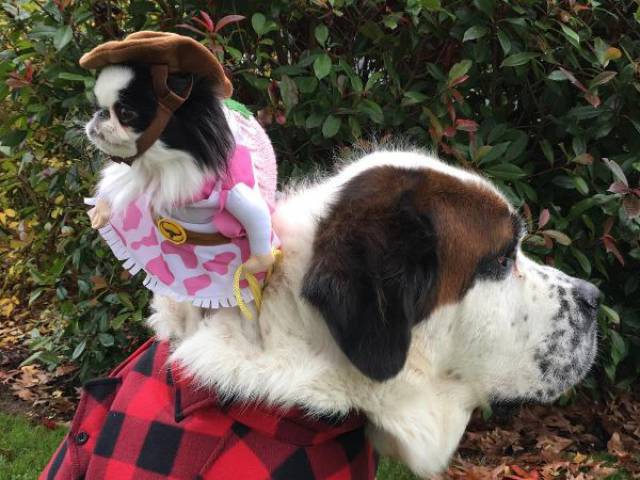 Daily Picdump [WEEKEND EDITION]