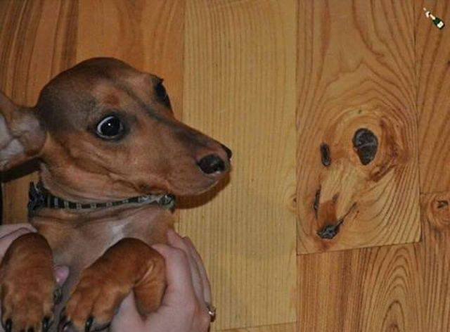 Daily Picdump