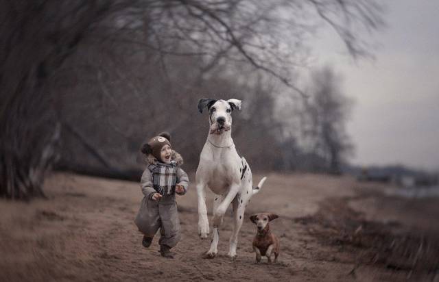 Daily Picdump
