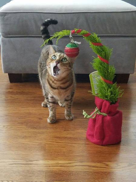 daily picdump 98 pics 5.html - 98 HD Photos | Premium Gallery 2016