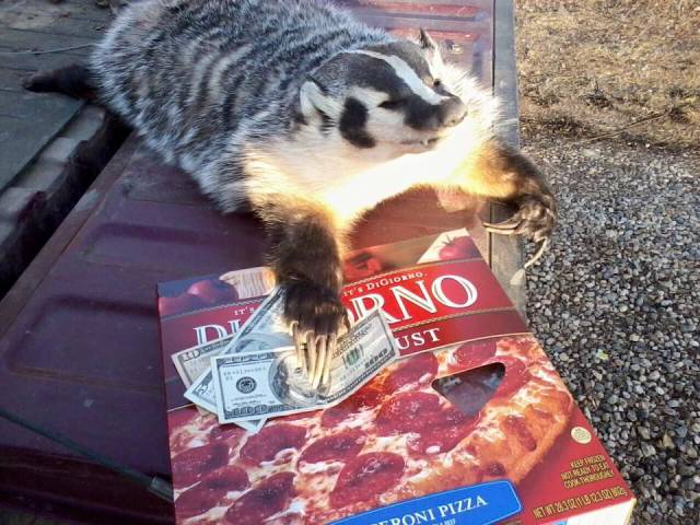 daily picdump 98 pics 5.html - 98 HD Photos | Premium Gallery 2016