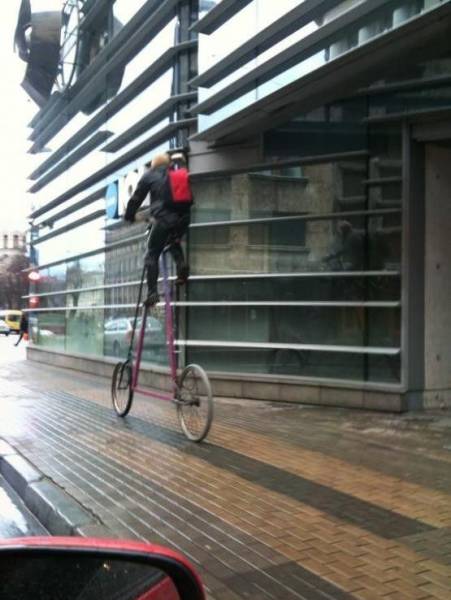daily picdump 100 pics 24.html - 100 HD Photos | Premium Gallery 2016