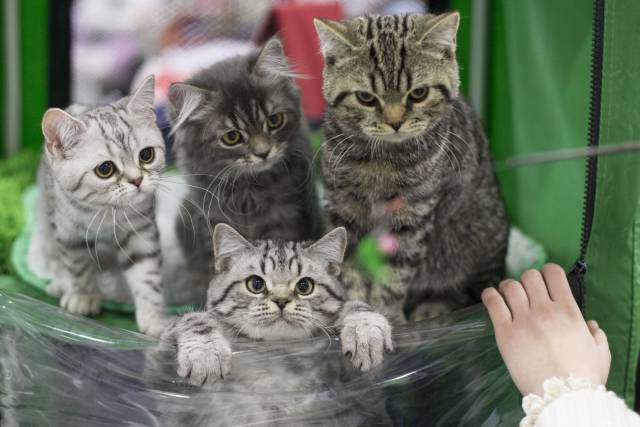 Daily Picdump
