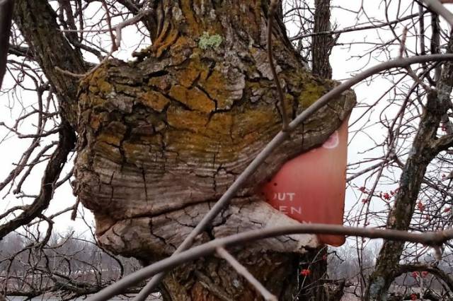 daily picdump 100 pics 24.html - 100 HD Photos | Premium Gallery 2016
