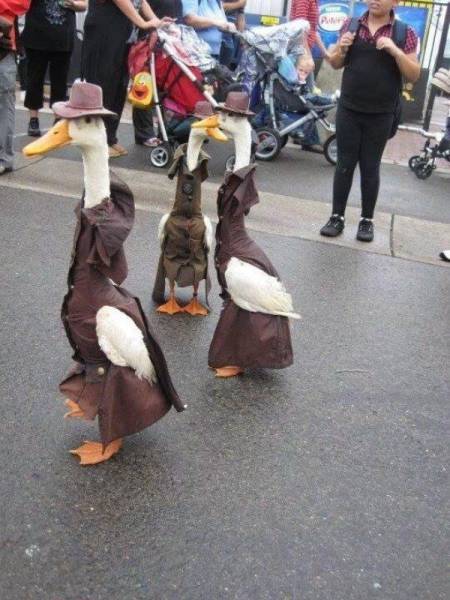 daily picdump 100 pics 24.html - 100 HD Photos | Premium Gallery 2016