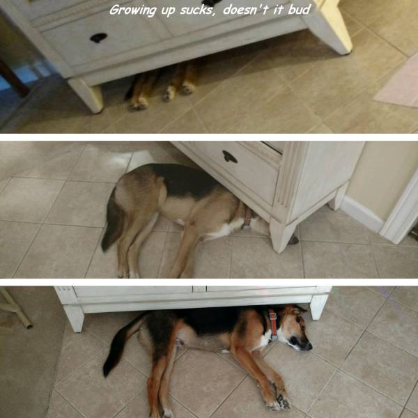 daily picdump 100 pics 24.html - 100 HD Photos | Premium Gallery 2016