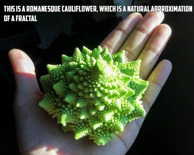 morning picdump 53 pics 21.html - 53 HD Photos | Premium Gallery 2016