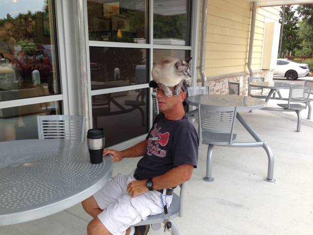 morning picdump 53 pics 21.html - 53 HD Photos | Premium Gallery 2016