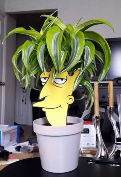 morning picdump 53 pics 21.html - 53 HD Photos | Premium Gallery 2016