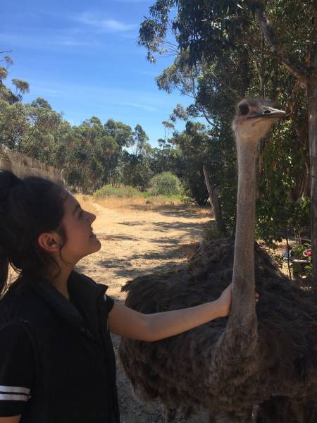 daily picdump 94 pics 35.html - 94 HD Photos | Premium Gallery 2016