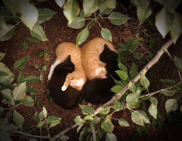 daily picdump 94 pics 35.html - 94 HD Photos | Premium Gallery 2016