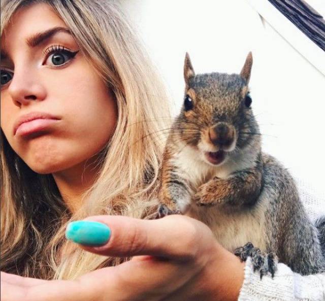 daily picdump 94 pics 35.html - 94 HD Photos | Premium Gallery 2016