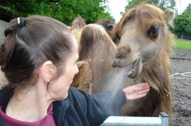 Morning Picdump