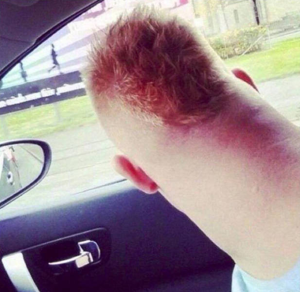 Morning Picdump