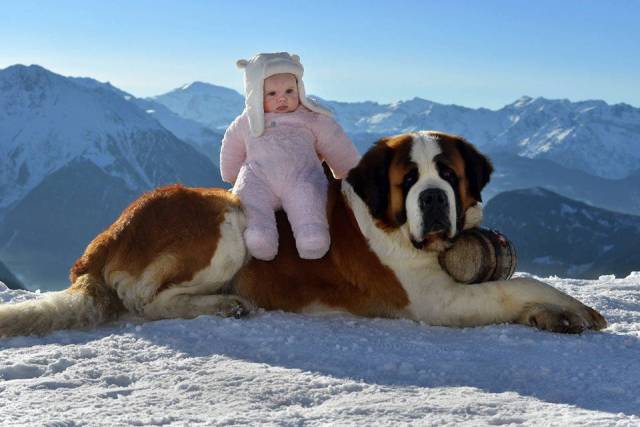morning picdump 50 pics 13.html - 50 HD Photos | Premium Gallery 2016