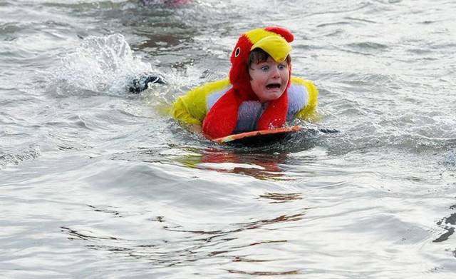 daily picdump 96 pics 2.html - 96 HD Photos | Premium Gallery 2016