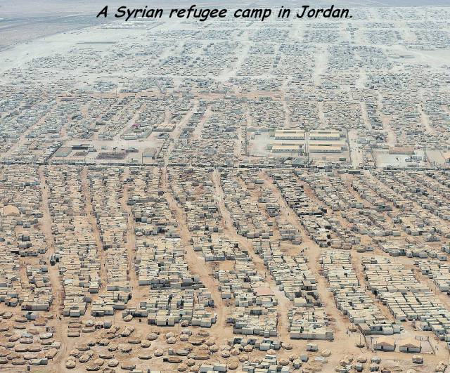 daily picdump 96 pics 2.html - 96 HD Photos | Premium Gallery 2016