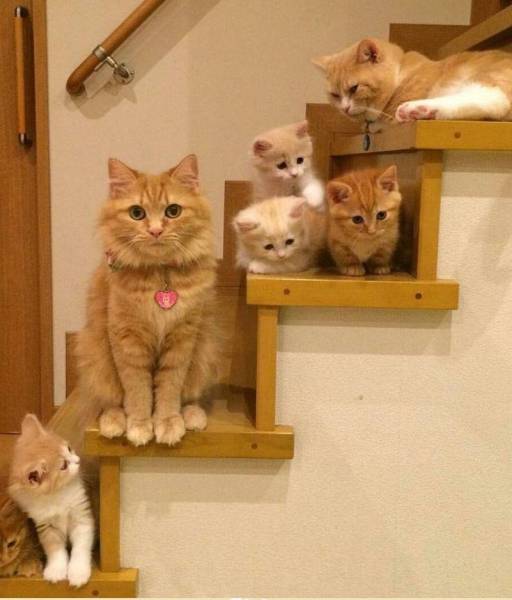 daily picdump 96 pics 2.html - 96 HD Photos | Premium Gallery 2016