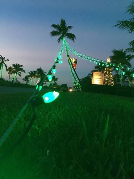 daily picdump 96 pics 2.html - 96 HD Photos | Premium Gallery 2016