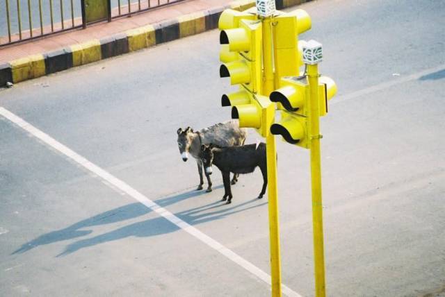 daily picdump 96 pics 2.html - 96 HD Photos | Premium Gallery 2016