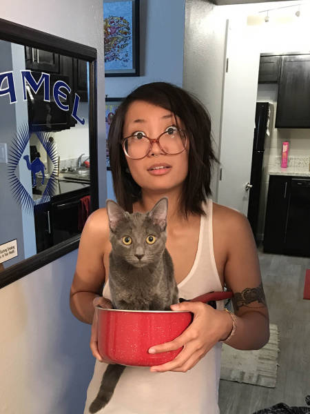 morning picdump 50 pics 3.html - 50 HD Photos | Premium Gallery 2016