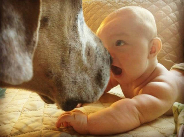 morning picdump 50 pics 3.html - 50 HD Photos | Premium Gallery 2016