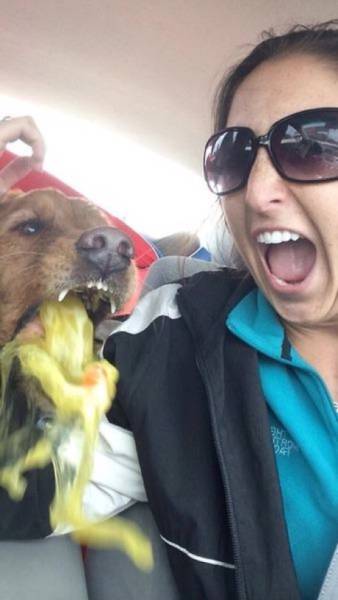 morning picdump 50 pics 3.html - 50 HD Photos | Premium Gallery 2016