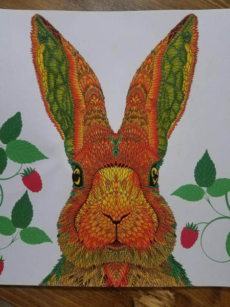 morning picdump 50 pics 3.html - 50 HD Photos | Premium Gallery 2016