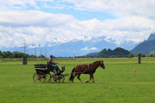 morning picdump 50 pics 3.html - 50 HD Photos | Premium Gallery 2016