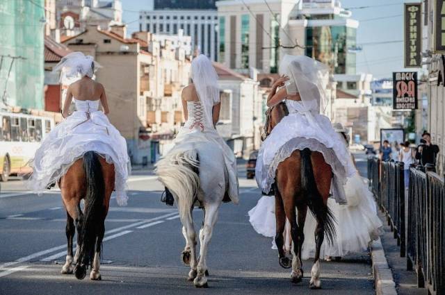 daily picdump 99 pics 38.html - 99 HD Photos | Premium Gallery 2016