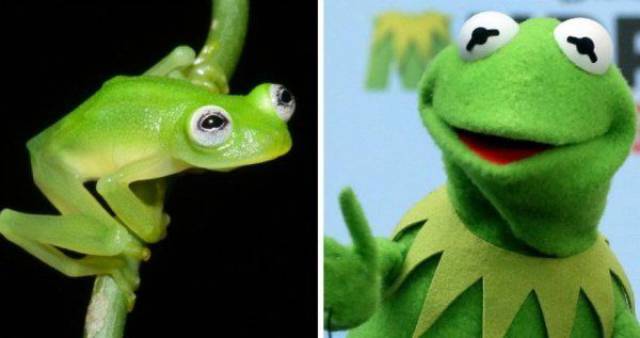 daily picdump 99 pics 38.html - 99 HD Photos | Premium Gallery 2016