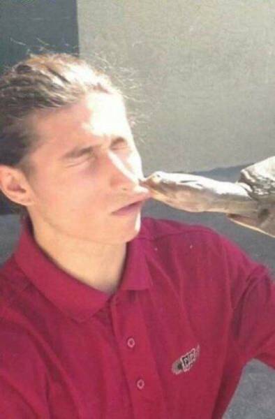 daily picdump 99 pics 38.html - 99 HD Photos | Premium Gallery 2016