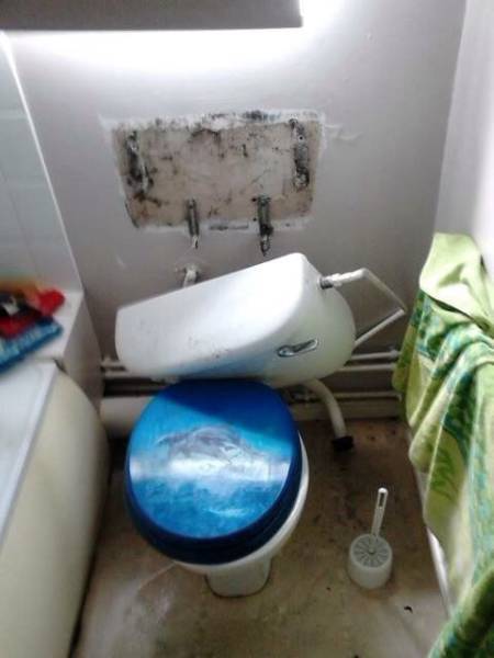 daily picdump 99 pics 38.html - 99 HD Photos | Premium Gallery 2016